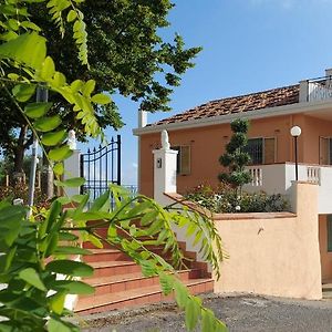 Tenuta dei Biondi Ulivi B&B